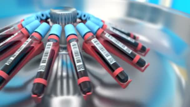 Amostras de sangue nos tubos de ensaio da centrifugadora — Vídeo de Stock