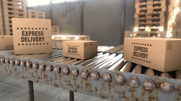 Logistické sklad, kde kartónové krabice s balíky jsou uloženy bezešvé smyčky — Stock video