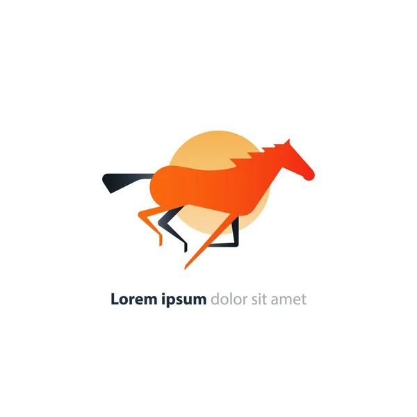 Hız at teslim logo kavramı, hızlı Hizmetleri — Stok Vektör