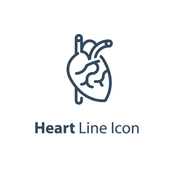 Órgano interno humano, corazón sano, chequeo cardiovascular, icono de línea vectorial — Vector de stock