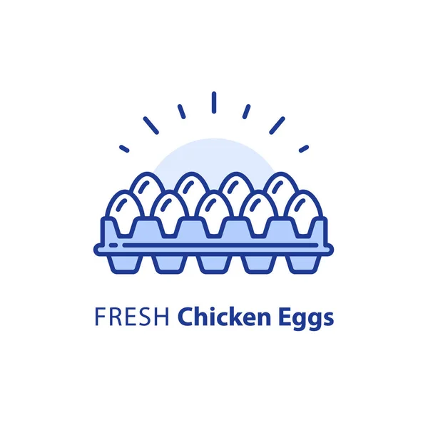 Білі курячі яйця в коробці, пакет з десятками — стоковий вектор