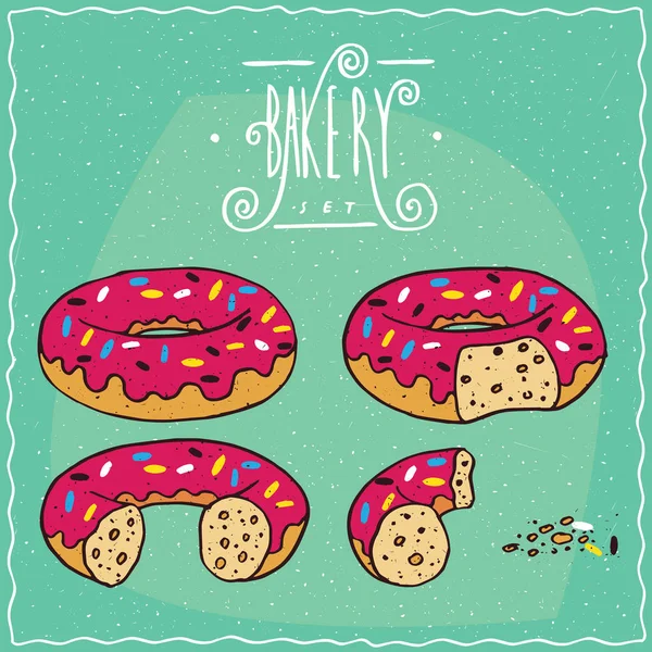 Conjunto de rosquillas en diferentes etapas de la alimentación — Vector de stock