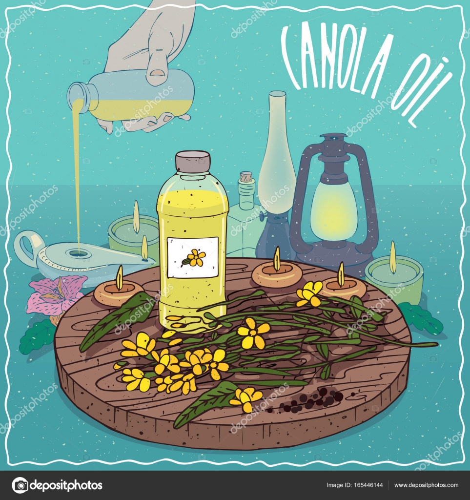 Canola oil used as fuel for oil lamp Stock Vector Image by ©ariadnaS