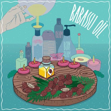 Babassu yağı kozmetik yapmak için kullanılan