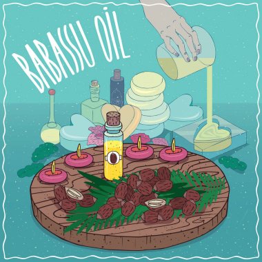 Babassu petrol sabun yapımında kullanılan