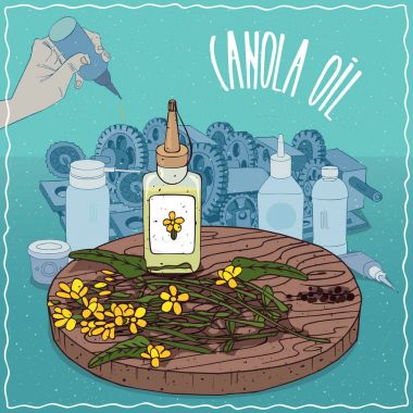 Gres yağlayıcı kullanılan kanola yağı