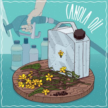 Yakıt üretimi için kullanılan kanola yağı