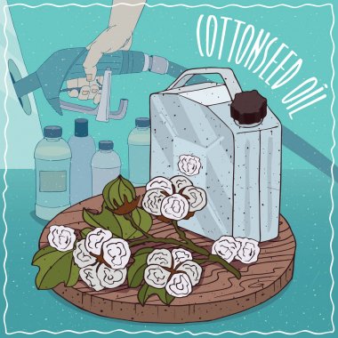 Yakıt üretimi için kullanılan pamuk tohumu yağı