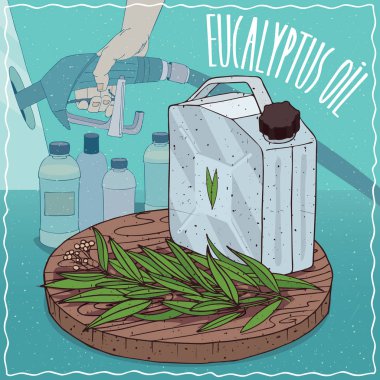 Yakıt üretimi için kullanılan okaliptüs yağı