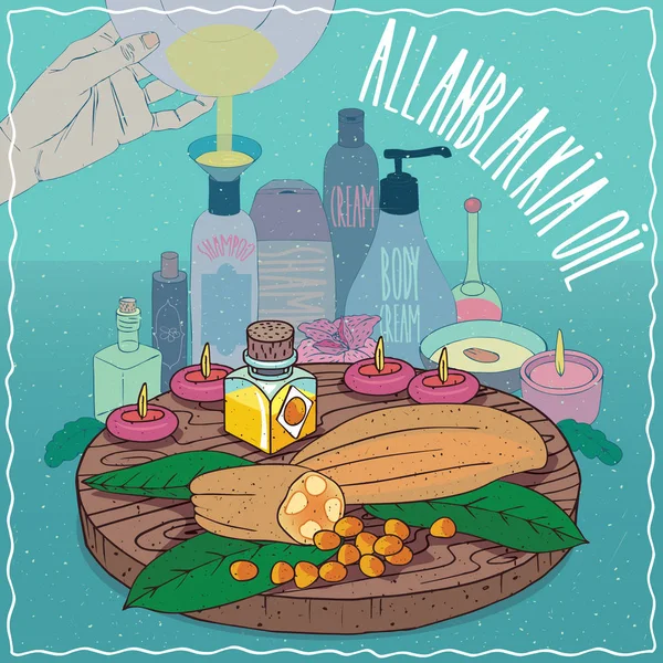 Allanblackia yağı kozmetik yapmak için kullanılan