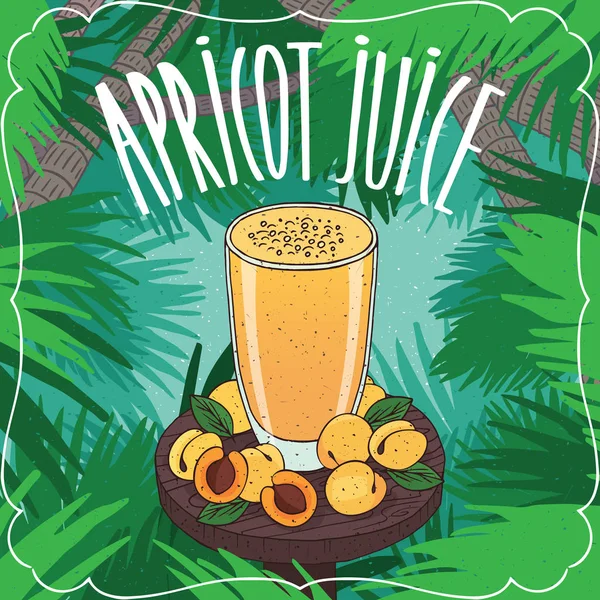 Cam olgunlaşmış meyve ile taze kayısı suyu