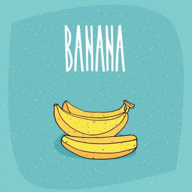 İzole olgun ve tüm muz meyve