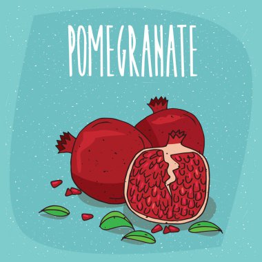 Olgun nar meyve yaprakları ile izole