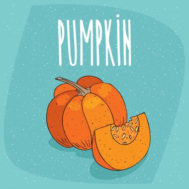 İzole olgun squash meyve veya kabak