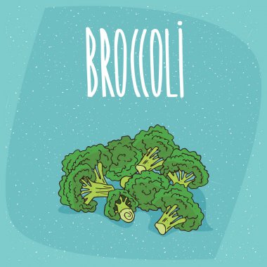 İzole olgun sebze brokoli takip ediyor