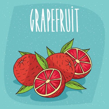 Birkaç olgun greyfurt meyve izole