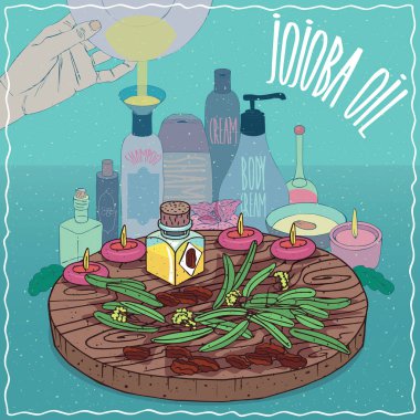 Jojoba yağı kozmetik yapmak için kullanılan