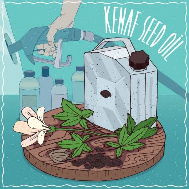 Yakıt üretimi için kullanılan Kenaf tohumu yağı