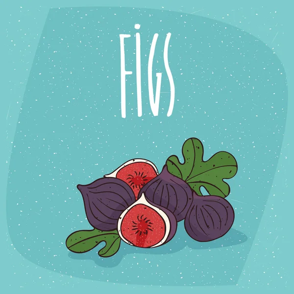 Figos maduros isolados ou frutos de figos — Vetor de Stock