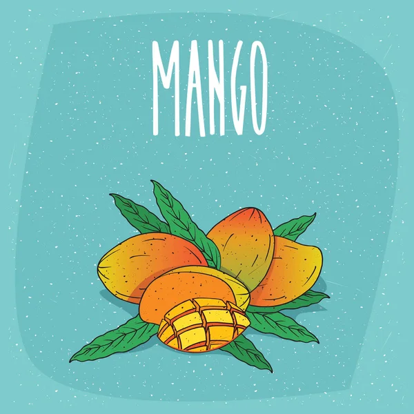 Frutas de mango maduras aisladas enteras y cortadas — Archivo Imágenes Vectoriales