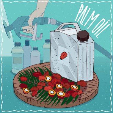 Hurma yağı yakıt üretimi için kullanılan