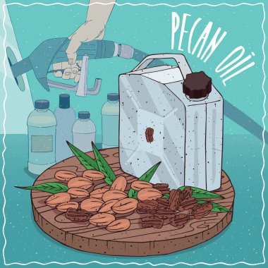 Pekan petrol yakıt üretimi için kullanılan