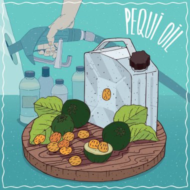 Pequi petrol yakıt üretimi için kullanılan