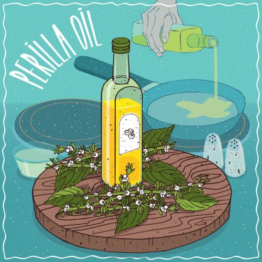 Perilla tohum petrol gıda kızartma için kullanılan