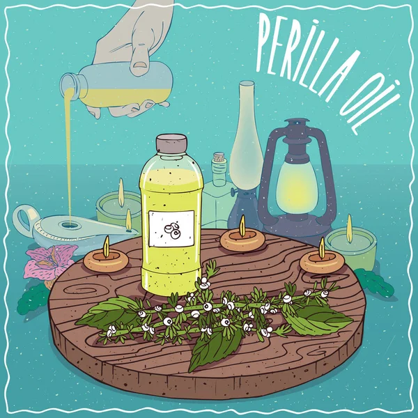 Yağ lambası için yakıt olarak kullanılan perilla tohumu yağı