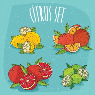 İzole cliparts organik narenciye kümesi