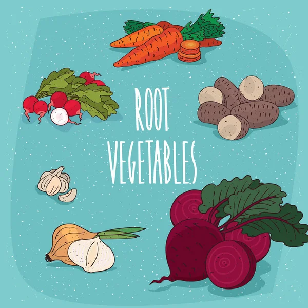 孤立的剪贴画可食的根蔬菜一套 — 图库矢量图片