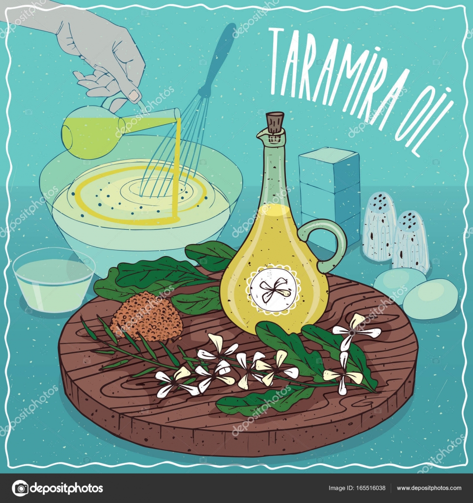Taramira Oil Used For Cooking Vector Image By C Ariadnas Vector Stock Taramira Oil Used For Cooking Vector Image By C Ariadnas Vector Stock