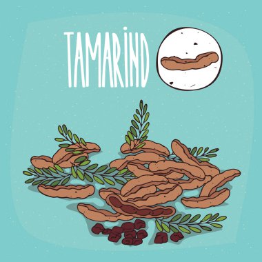 İzole bitki demirhindi meyve bitki ayarla