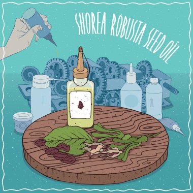 Gres yağlayıcı kullanılan Shorea robusta tohumu yağı