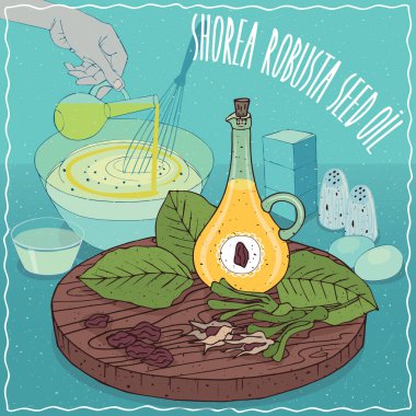 Yemek pişirmek için kullanılan Shorea robusta tohumu yağı