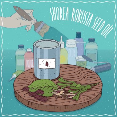 Boya üretimi için kullanılan Shorea robusta tohumu yağı