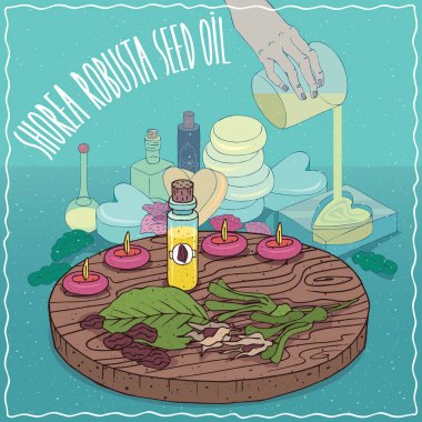 Sabun yapımında kullanılan Shorea robusta tohumu yağı