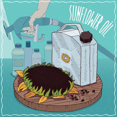 Ayçiçek yağı yakıt üretimi için kullanılan