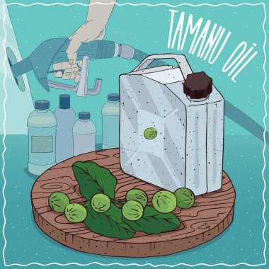 Yakıt üretimi için kullanılan Tamanu yağı