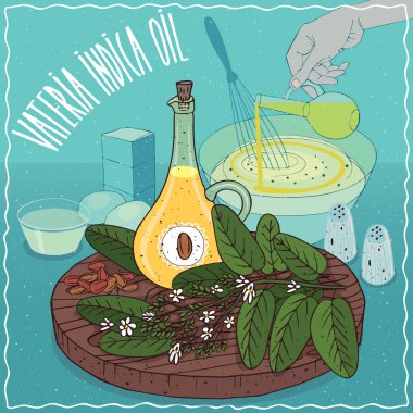 Yemek pişirmek için kullanılan Vateria indica petrol