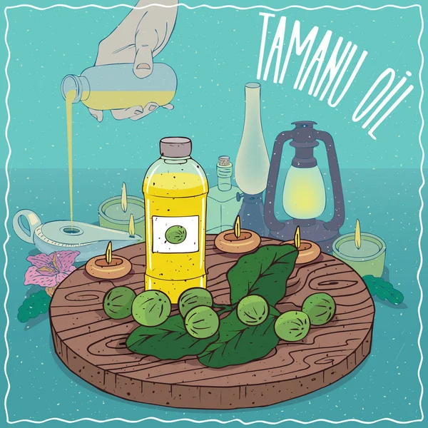 Aceite de tamanu utilizado como combustible para lámparas de aceite — Archivo Imágenes Vectoriales