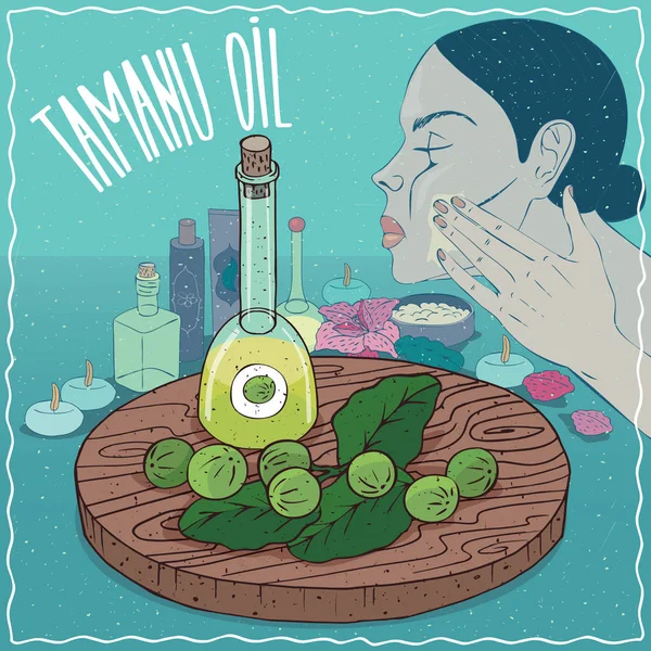 Óleo de Tamanu utilizado para cuidados com a pele —  Vetores de Stock