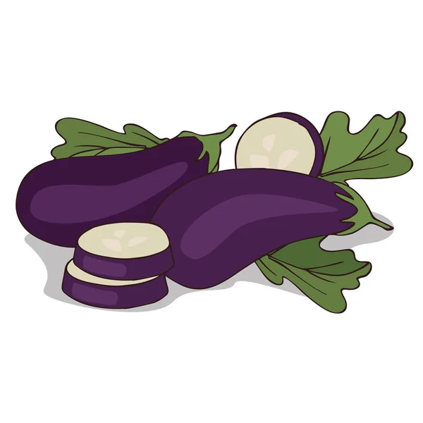 Isolera aubergine eller äggplanta — Stock vektor