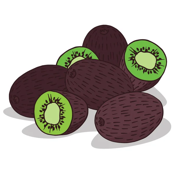 Isolera mogna kiwifrukt — Stock vektor