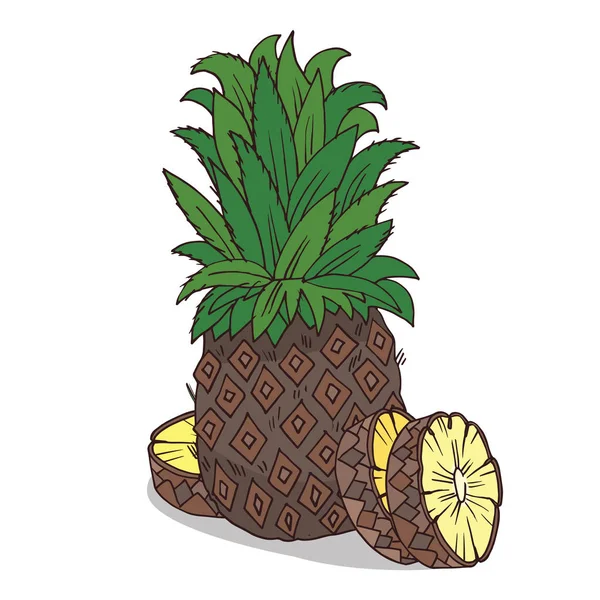 Isolera mogen ananas frukt — Stock vektor