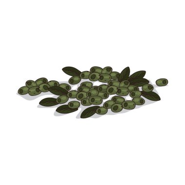 İzole clipart zeytin