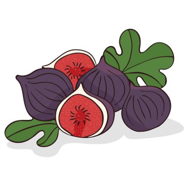 Olgun incir veya incir meyve ayırma