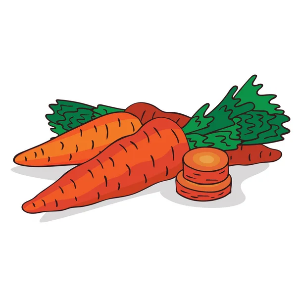 Aislar la raíz de zanahoria madura vegetal — Vector de stock
