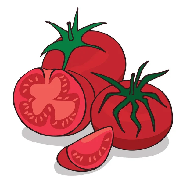 Izolowanie dojrzałych pomidorów warzyw — Wektor stockowy