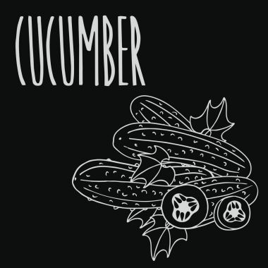 Kara tahta salatalık sebze